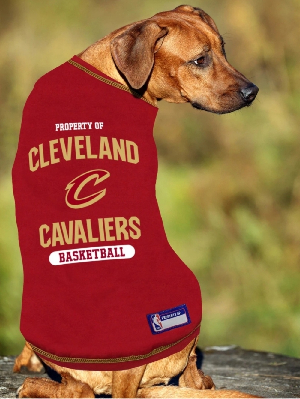 Cleveland Cavaliers Team Pet Wear Officially Licensed NBA Doggie Tee Shirt